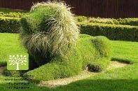 فضای سبز