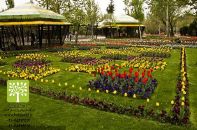 فضای سبز