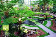 فضای سبز