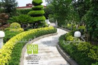 فضای سبز