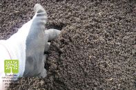 کود ارگانیک ورمی کمپوست