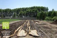 کود ارگانیک ورمی کمپوست