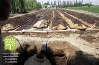 کود ارگانیک ورمی کمپوست