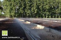 کود ارگانیک ورمی کمپوست