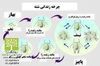سموم کشاورزی