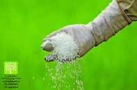 کود شیمیایی نانو