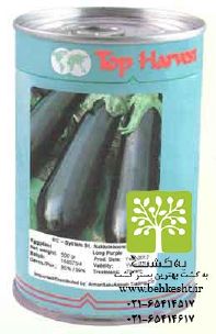 بذر
