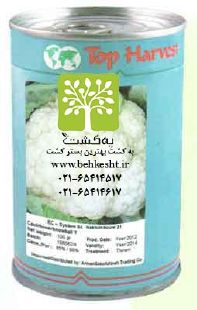بذر