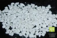 گلخانه