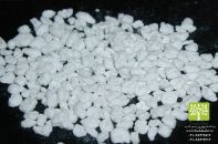 گلخانه